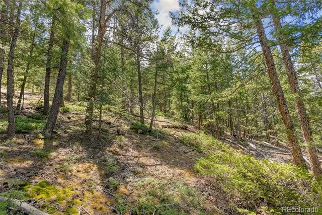 Lost Cabin Trail Evergreen, CO 80439