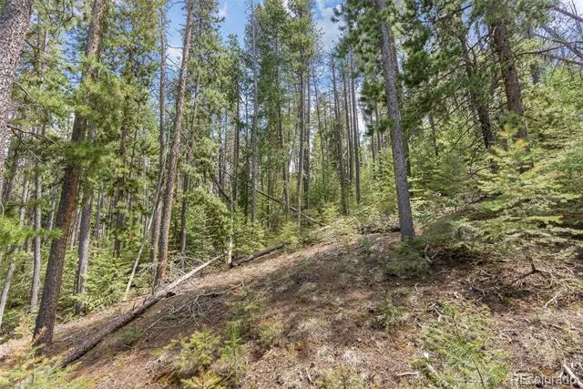 Lost Cabin Trail Evergreen, CO 80439