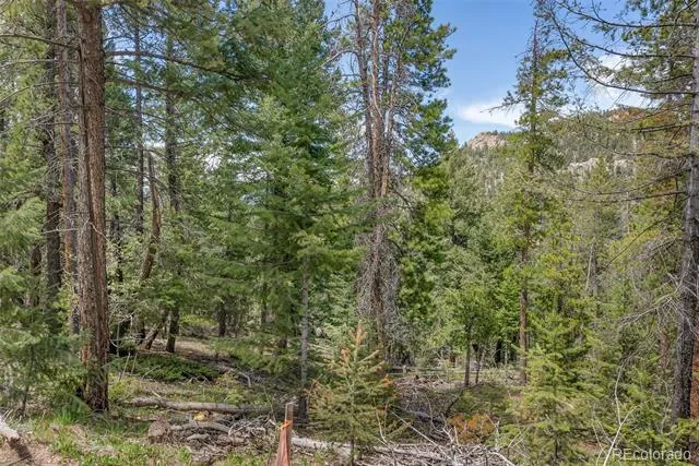 Lost Cabin Trail Evergreen, CO 80439