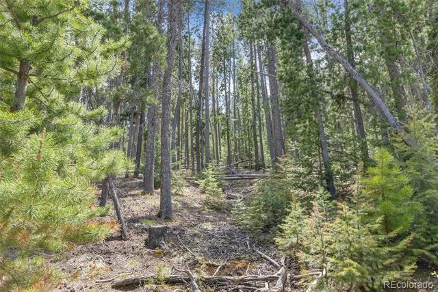 Lost Cabin Trail Evergreen, CO 80439