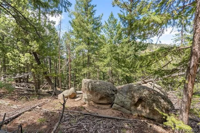 Lost Cabin Trail Evergreen, CO 80439