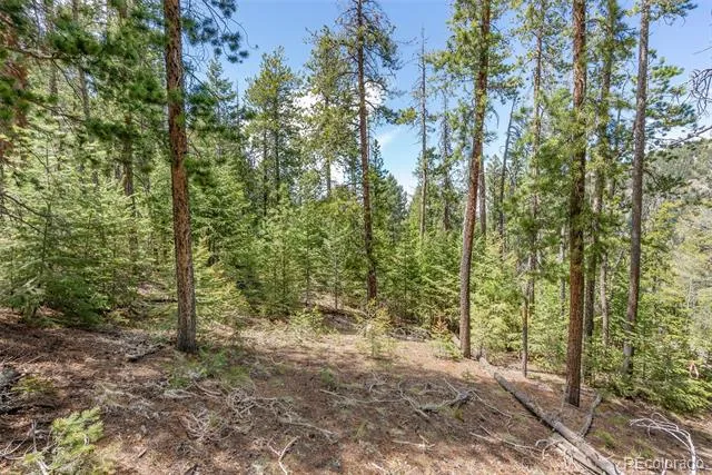 Lost Cabin Trail Evergreen, CO 80439