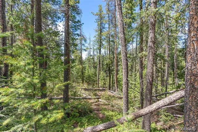 Lost Cabin Trail Evergreen, CO 80439