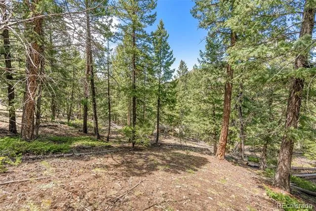 Lost Cabin Trail Evergreen, CO 80439