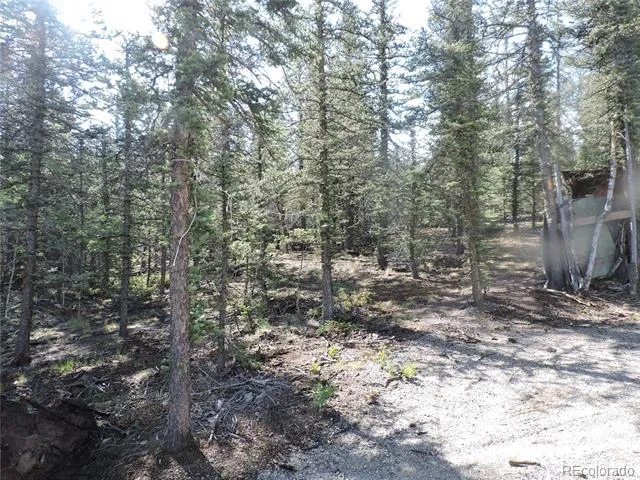 138 Cheyenne Road Como, CO 80432