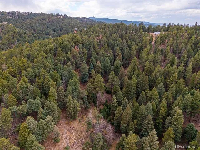 2288 Badger Drive Larkspur, CO 80118