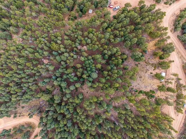 2288 Badger Drive Larkspur, CO 80118