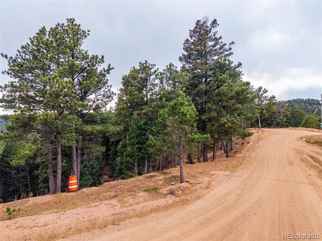 2288 Badger Drive Larkspur, CO 80118