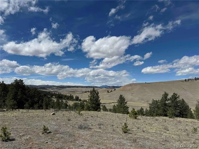 8014 County Road 2 Canon City, CO 81212