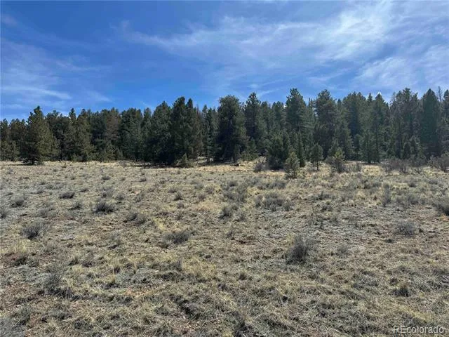 8014 County Road 2 Canon City, CO 81212
