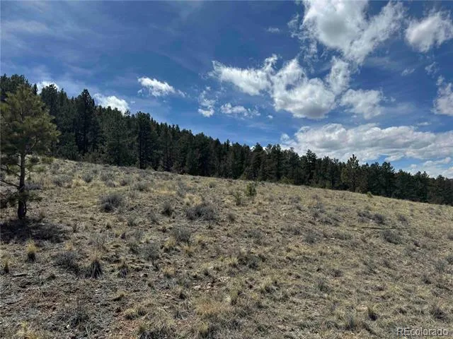 8014 County Road 2 Canon City, CO 81212