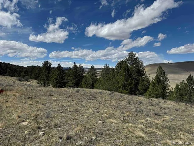 8014 County Road 2 Canon City, CO 81212