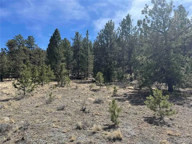 8014 County Road 2 Canon City, CO 81212