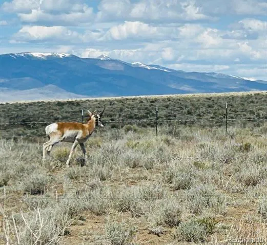 27740 County Road 65 Moffat, CO 81143