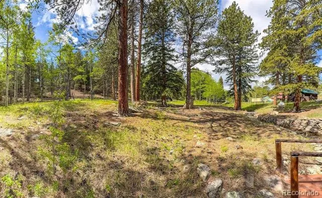 412 Highway 7 Business Allenspark, CO 80510