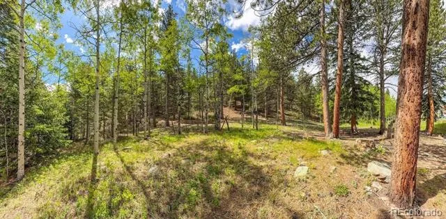 412 Highway 7 Business Allenspark, CO 80510