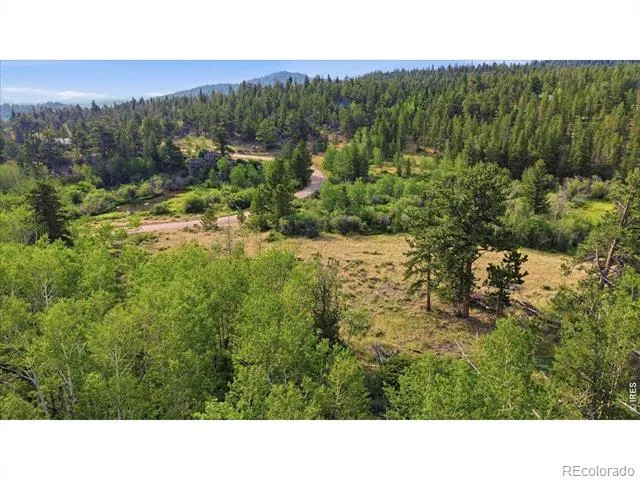 43 Chetco Court Red Feather Lakes, CO 80545