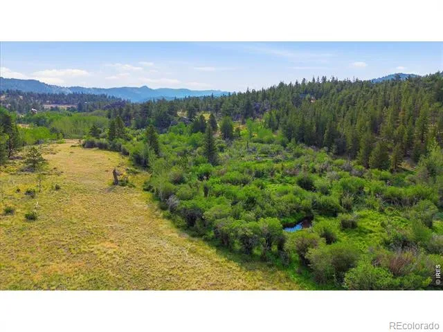 43 Chetco Court Red Feather Lakes, CO 80545