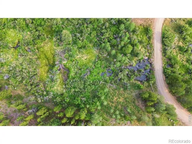 43 Chetco Court Red Feather Lakes, CO 80545