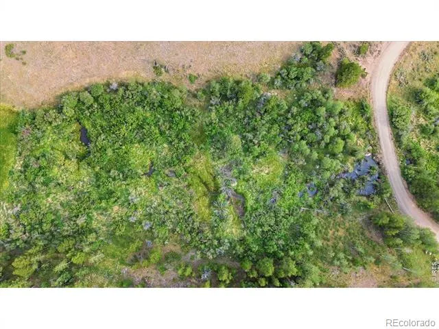 43 Chetco Court Red Feather Lakes, CO 80545