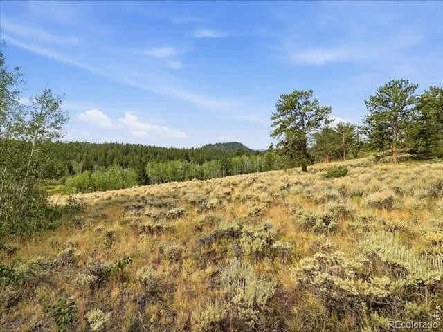 43 Chetco Court Red Feather Lakes, CO 80545