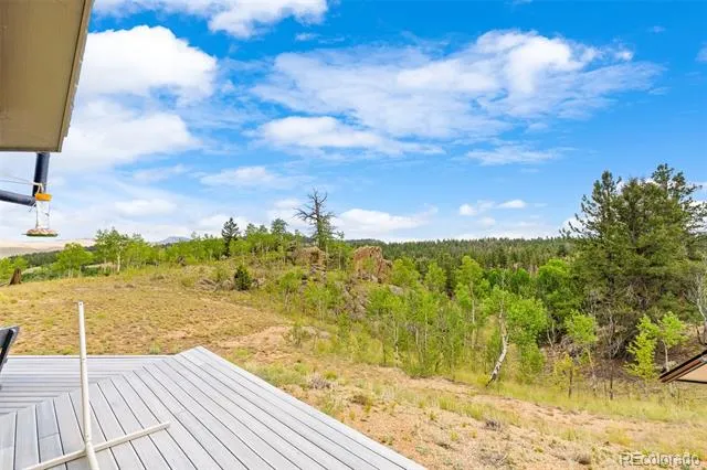 65 Riata Run Hartsel, CO 80449