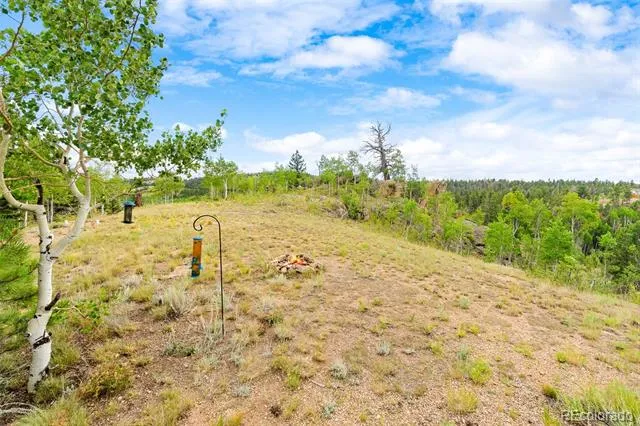 65 Riata Run Hartsel, CO 80449