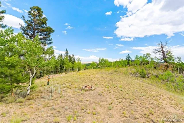 65 Riata Run Hartsel, CO 80449