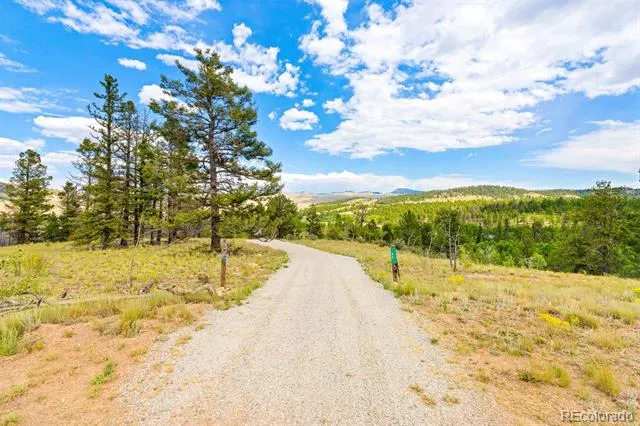 65 Riata Run Hartsel, CO 80449