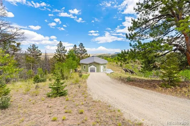 65 Riata Run Hartsel, CO 80449