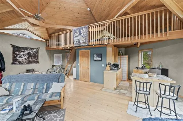 65 Riata Run Hartsel, CO 80449