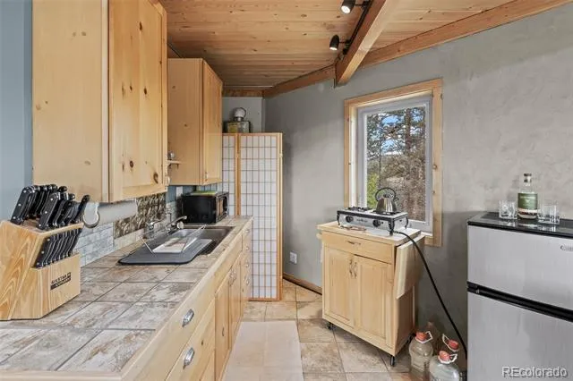 65 Riata Run Hartsel, CO 80449