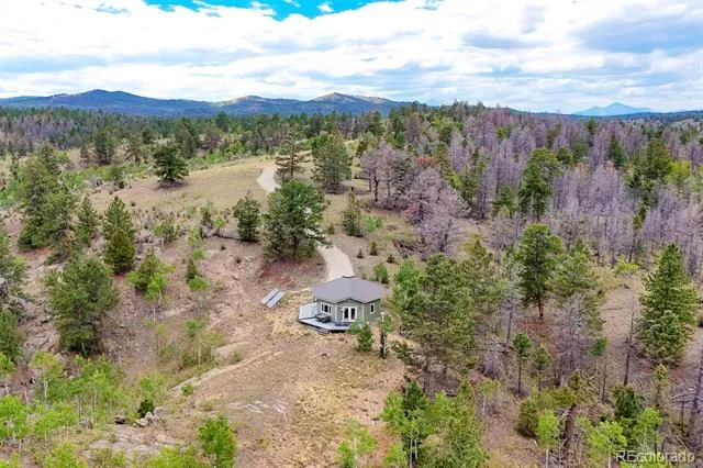 65 Riata Run Hartsel, CO 80449