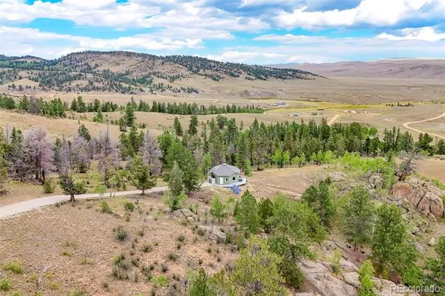 65 Riata Run Hartsel, CO 80449