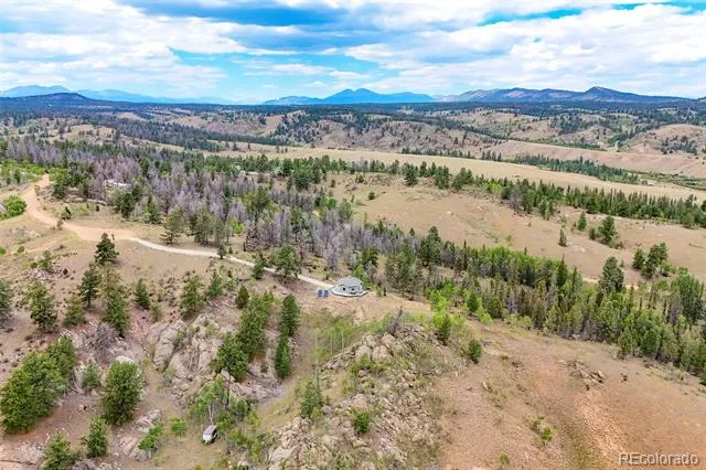 65 Riata Run Hartsel, CO 80449