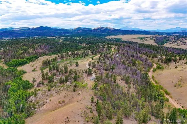 65 Riata Run Hartsel, CO 80449