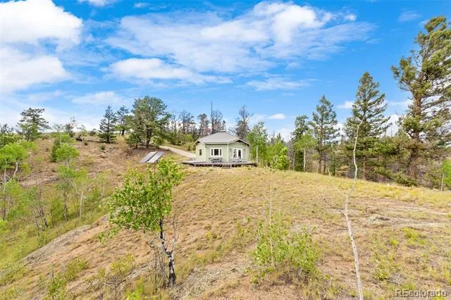65 Riata Run Hartsel, CO 80449