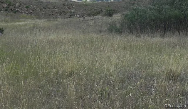 Lot 41-42 S 1st Street Cripple Creek, CO 80813