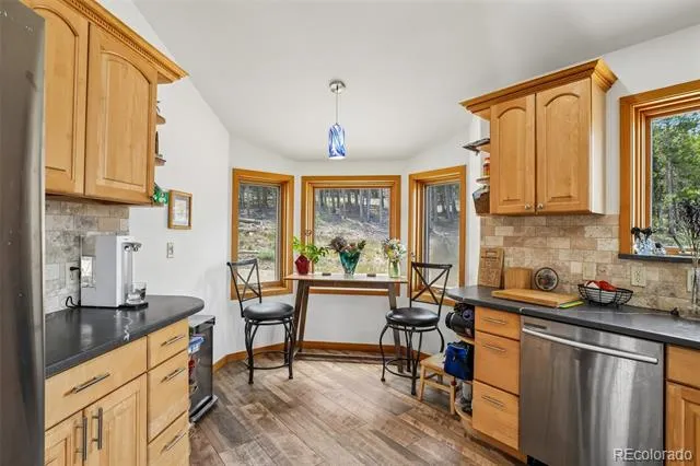 480 County Road Rollinsville, CO 80474