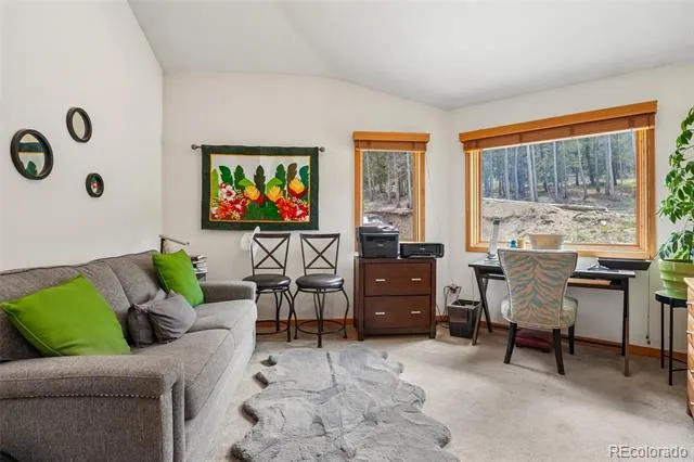 480 County Road Rollinsville, CO 80474