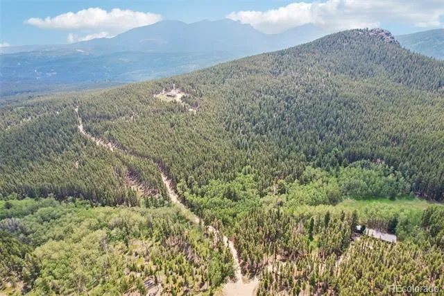 480 County Road Rollinsville, CO 80474