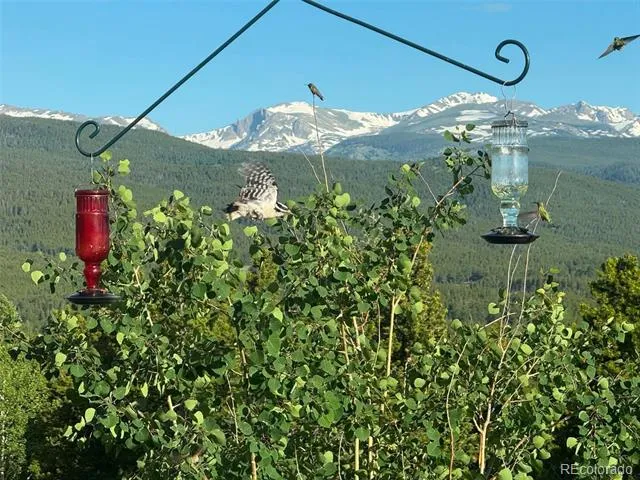480 County Road Rollinsville, CO 80474