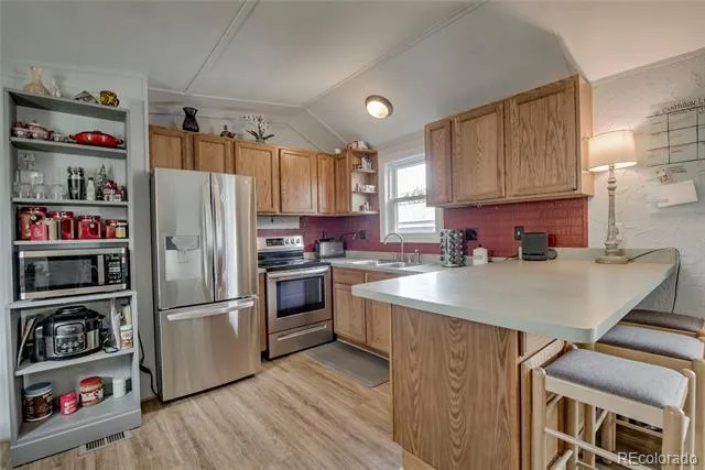 56 Magnum Bonum Drive Breckenridge, CO 80424
