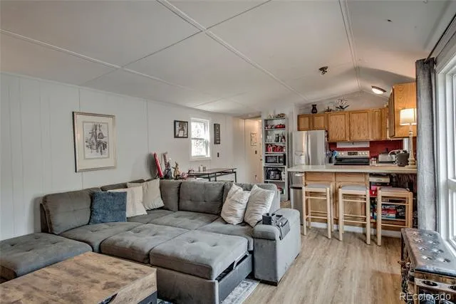 56 Magnum Bonum Drive Breckenridge, CO 80424