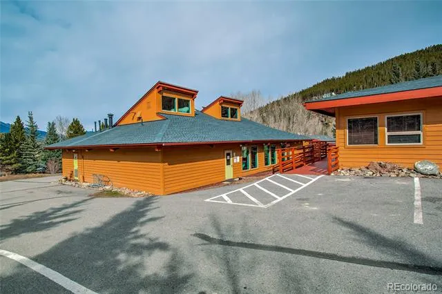 56 Magnum Bonum Drive Breckenridge, CO 80424