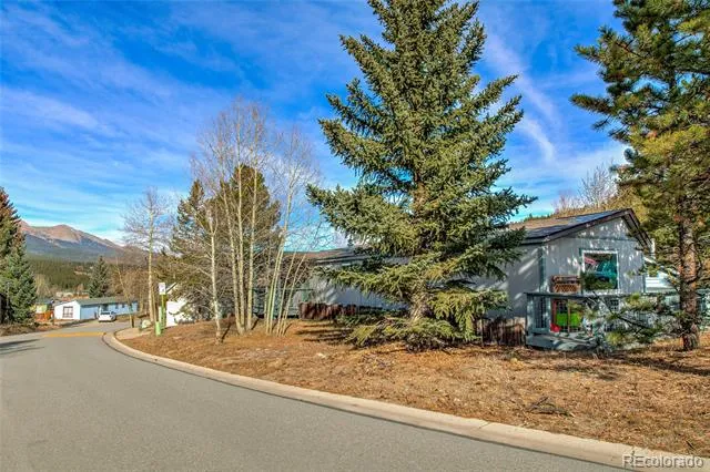 56 Magnum Bonum Drive Breckenridge, CO 80424
