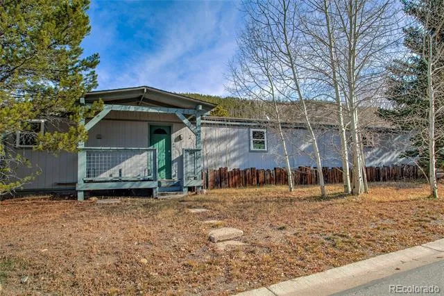 56 Magnum Bonum Drive Breckenridge, CO 80424