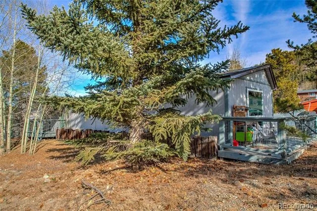 56 Magnum Bonum Drive Breckenridge, CO 80424