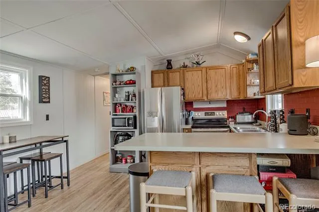 56 Magnum Bonum Drive Breckenridge, CO 80424
