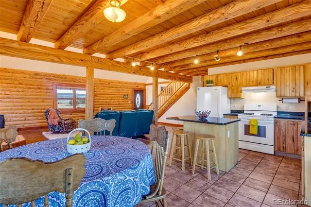 1528 Silverheels Road Fairplay, CO 80440